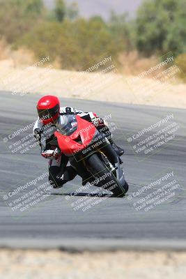 media/Apr-10-2022-SoCal Trackdays (Sun) [[f104b12566]]/Turn 10 (1pm)/